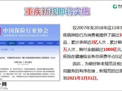 中国人寿优选特约服务24页.pptx