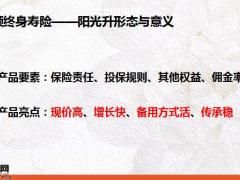 阳光人寿阳光升基础知识26页.pptx