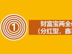 华夏财富宝产品介绍产品特色14页.pptx