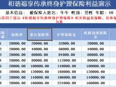和谐健康福享传承利益演示工具速查表.xlsx