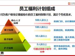 和谐健康团险员工福利方案设计23页.pptx