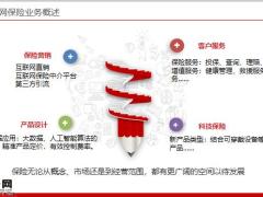互联网保险业务概述体系目标与规划20页.pptx