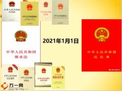 民法典继承那些事儿29页.pptx