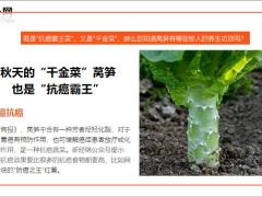 每日健康秋天的抗癌霸王菜三高头号杀手四种吃法效果最好15页.ppt