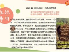 每日新闻资讯20年12月24日早会使用10页.ppt