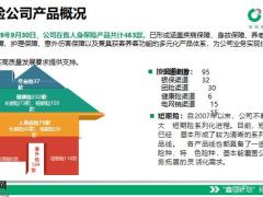 中国人寿寿险公司产品详解44页.pptx