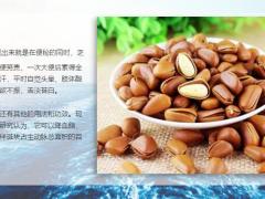每日健康一味药肥五脏上治脱发下治便秘中养肝血8页.ppt