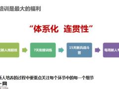 新人入司步步为营迈向绩优之路24页.pptx