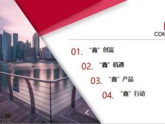 国寿2021年10年期开门红创富机遇产品行动39页.pptx
