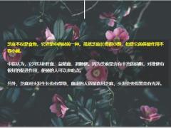 每日健康这种黑色食物是秋冬养生宝补肾养肝还通便4页.ppt