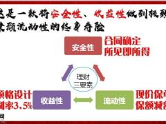 华泰稳盈一生保险产品优势投保示例13页.pptx