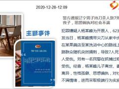 每日新闻资讯20年12月29日早会使用10页.ppt