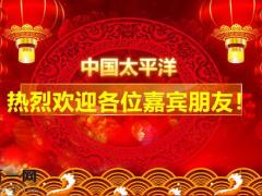 太平洋天增岁月人添福产会课件31页.pptx