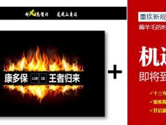 百年康多康乾鑫越贺岁季产品宣导86页.pptx