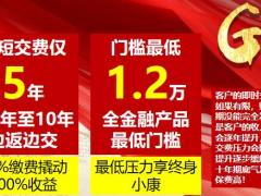 国寿网销渠道鑫福临门销售策略14页.pptx