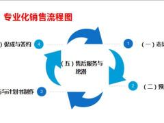 团险专业化销售流程五步法课程回顾梳理31页.pptx