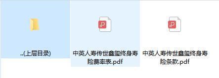中英人寿传世鑫玺终身寿险条款费率.rar
