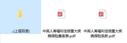 中英人寿福利佳倍重大疾病保险条款费率.rar