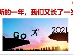 太平洋重疾新规启动下目标与行动10页.pptx