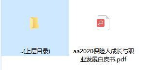 2020保险人成长与职业发展白皮书.rar