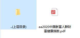 2020中国新富人群财富健康指数.rar
