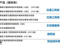 国寿短险产品组合28页.pptx