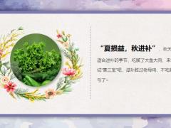 每日健康秋天素三宝胜过冬虫夏草15页.ppt