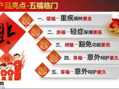 中国人寿国寿福庆典版亮点解析17页.pptx