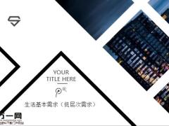 人生对保险需求的四个层次28页.pptx