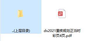 2021重疾规划正当时彩页4页.rar