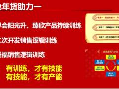 新春营销推动方案人人享福利欢喜过大年39页.pptx