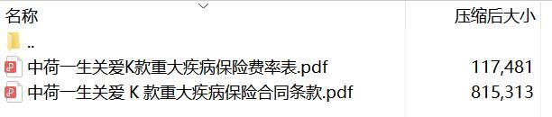 中荷一生关爱K款重大疾病保险合同条款费率.rar