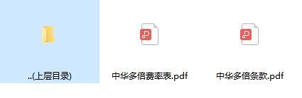 中华新生活多倍重大疾病保险条款费率.rar