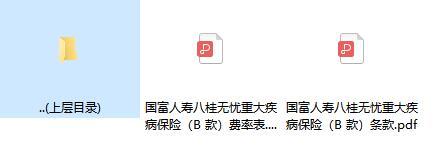 国富人寿八桂无忧重大疾病保险B款条款费率.rar
