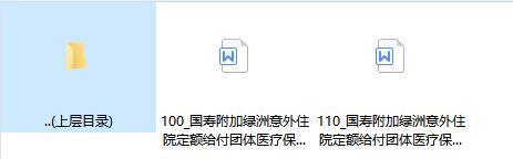 国寿附加绿洲意外住院定额给付团体医疗保险条款费率.rar