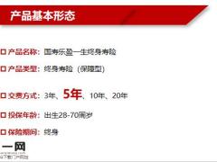 国寿乐盈一生终身寿险产品营销背景基本责任亮点分析逻辑梳理24页.pptx