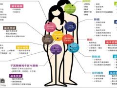中信保诚新规在即重疾不重产品再宣导21页.pptx