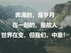 中意臻爱两全保险产品宣传片28页.pptx