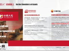 中意人寿高端医疗保险解决方案53页.pptx