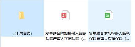 复星联合附加投保人豁免保险费重大疾病保险2021款条款费率.rar