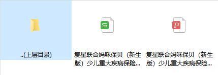 复星联合妈咪保贝新生版少儿重大疾病保险条款费率.rar