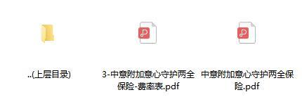 中意附加意心守护两全保险条款费率.rar