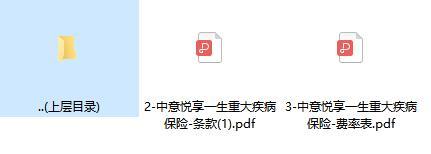 中意悦享一生重大疾病保险条款费率.rar