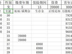 民生鑫喜连鸿数据演示计划书.xlsx