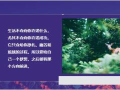 每日鸡汤只要怀揣希望逐梦前行你就是自己的人生主角.zip