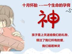 太平洋人寿超能宝庆典版宣导篇32页.pptx