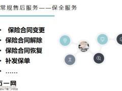 保险售后服务技巧16页.pptx