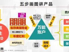 泰康智赢2020成人版早会专题一11页.pptx