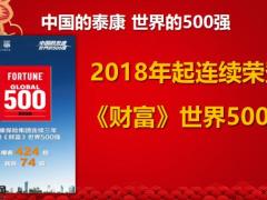 2021新春感恩会主讲篇泰康版47页.pptx
