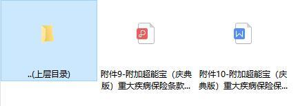 太平洋附加超能宝庆典版重大疾病保险条款费率.rar